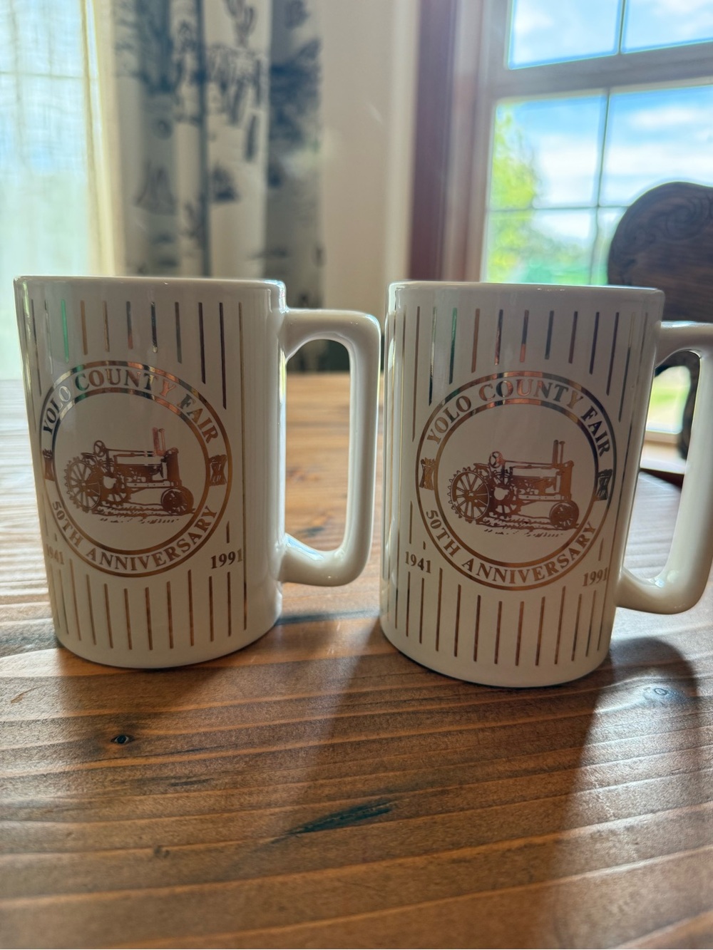 2 Vintage Yolo County Fair mugs